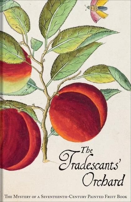 Produktbild: The Tradescants' Orchard