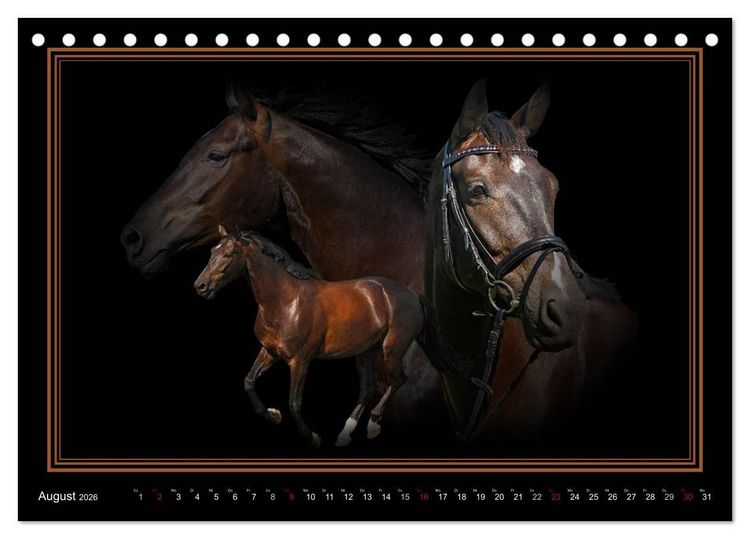 Produktbild: Traumpferde-ART-Collection (Tischkalender 2026 DIN A5 quer), CALVENDO Monatskalender