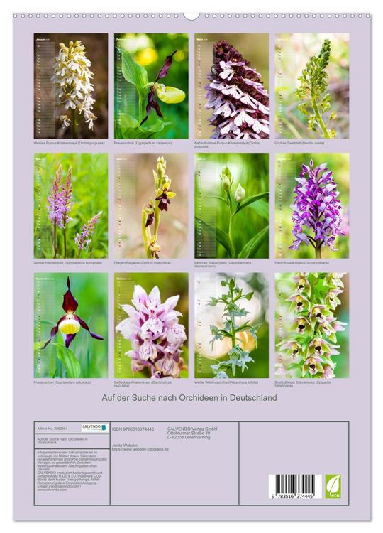 Produktbild: Auf der Suche nach Orchideen in Deutschland (hochwertiger Premium Wandkalender 2026 DIN A2 hoch), Kunstdruck in Hochglanz