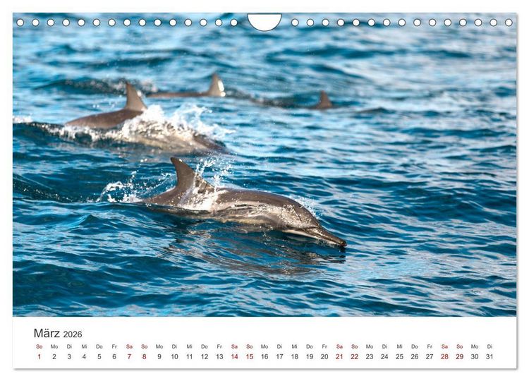 Produktbild: Mosambik - Eine Perle im S&uuml;den Afrikas. (Wandkalender 2026 DIN A4 quer), CALVENDO Monatskalender