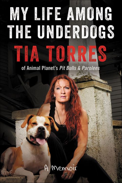 Produktbild: My Life Among the Underdogs