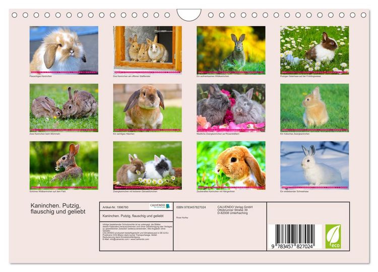 Produktbild: Kaninchen. Putzig, flauschig und geliebt (Wandkalender 2026 DIN A4 quer), CALVENDO Monatskalender