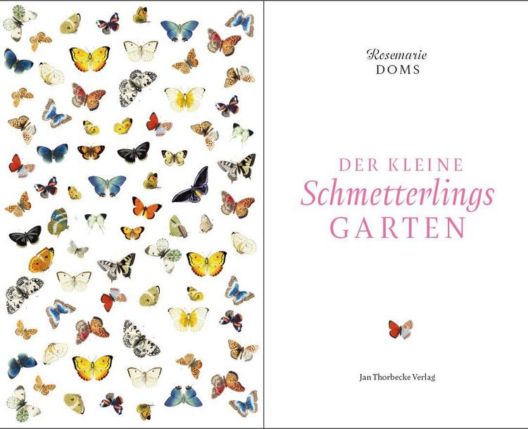Produktbild: Der kleine Schmetterlingsgarten