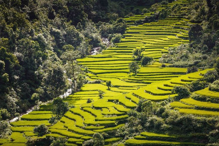 Produktbild: Mahendra Highway