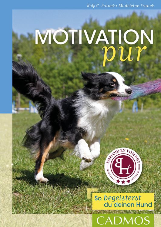 Produktbild: Motivation pur