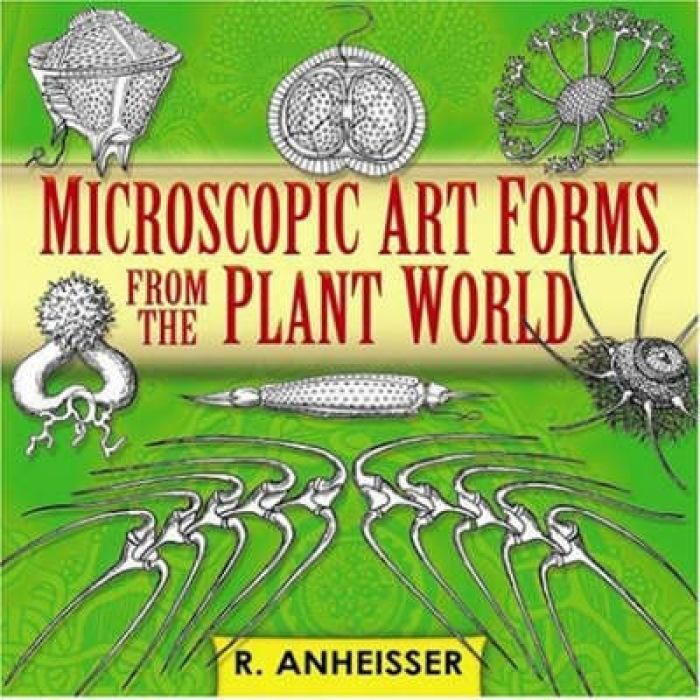 Produktbild: Microscopic Art Forms Fro-W/cd