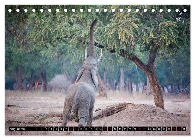 Produktbild: Faszination Simbabwe (Tischkalender 2026 DIN A5 quer), CALVENDO Monatskalender
