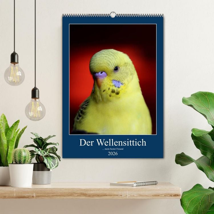 Produktbild: Der Wellensittich - mein bester Freund (Wandkalender 2026 DIN A2 hoch), CALVENDO Monatskalender