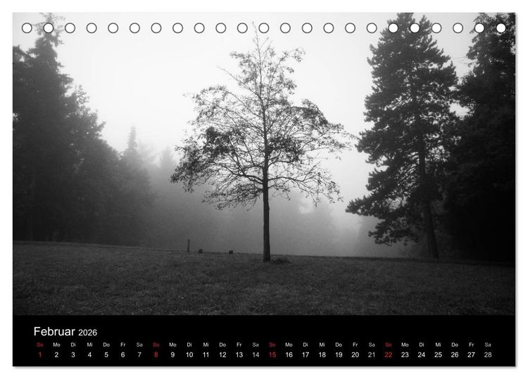 Produktbild: B&auml;ume trees 2026 (Tischkalender 2026 DIN A5 quer), CALVENDO Monatskalender