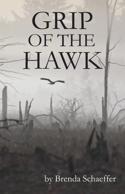 Produktbild: Grip Of The Hawk