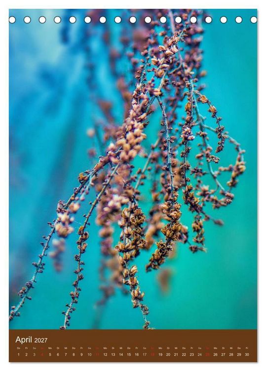 Produktbild: Natur-Romantik (Tischkalender 2027 DIN A5 hoch), CALVENDO Monatskalender