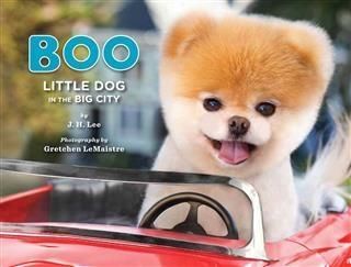 Produktbild: Boo: Little Dog in the Big City