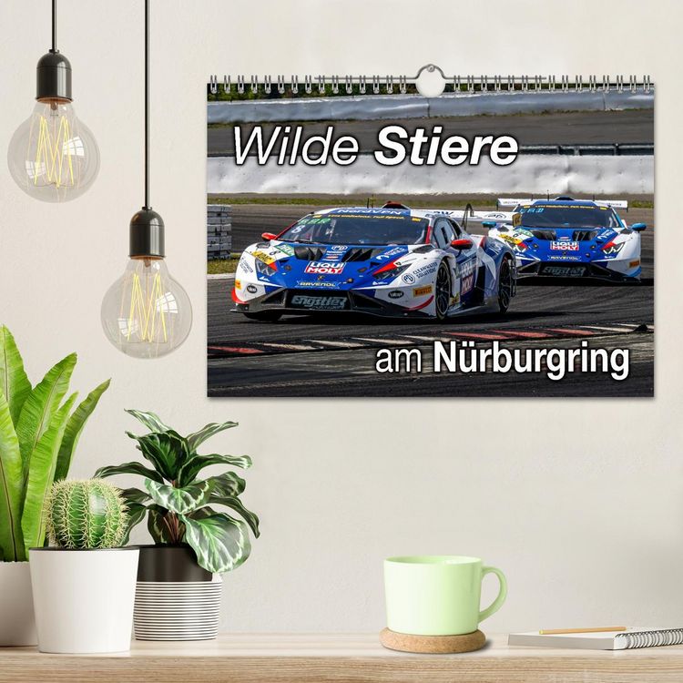 Produktbild: Wilde Stiere am N&uuml;rburgring (Wandkalender 2026 DIN A4 quer), CALVENDO Monatskalender