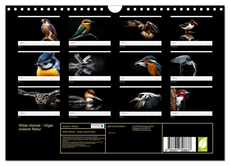 Produktbild: Wilde Heimat - V&ouml;gel unserer Natur (Wandkalender 2026 DIN A4 quer), CALVENDO Monatskalender
