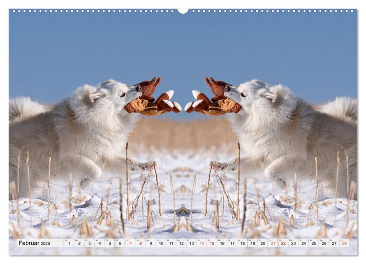 Produktbild: Mit doppelter Power durch das Jahr (hochwertiger Premium Wandkalender 2026 DIN A2 quer), Kunstdruck in Hochglanz