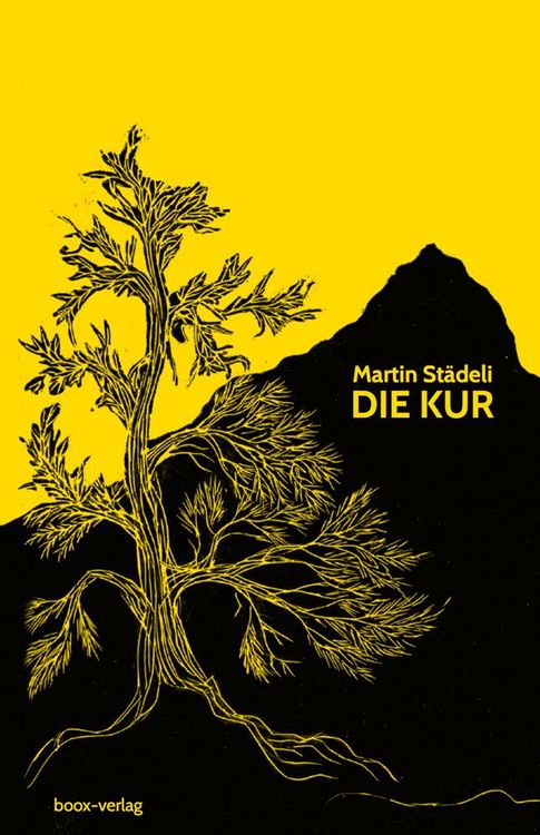 Produktbild: Die Kur