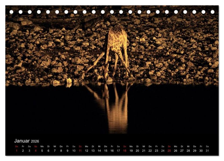 Produktbild: Giraffen &ndash; Faszination der Wildnis (Tischkalender 2026 DIN A5 quer), CALVENDO Monatskalender