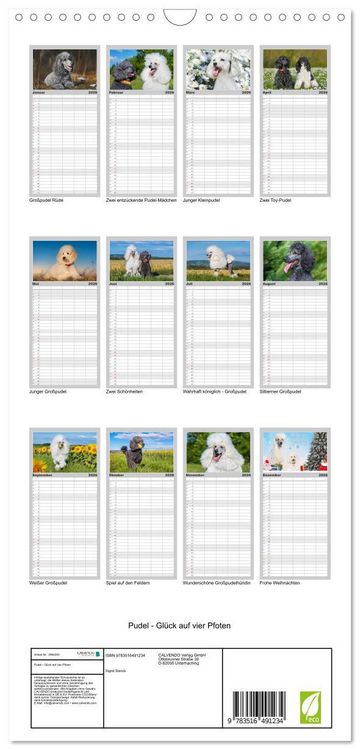 Produktbild: Familienplaner 2026 - Pudel - Gl&uuml;ck auf vier Pfoten mit 5 Spalten (Wandkalender, 21 x 45 cm) CALVENDO