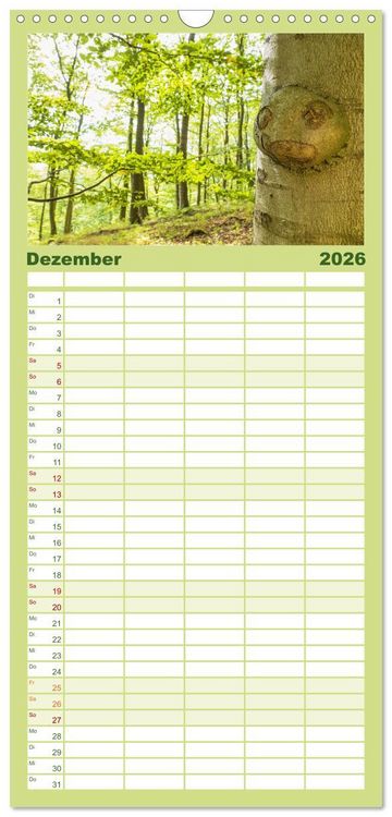 Produktbild: Familienplaner 2026 - Waldd&auml;monen mit 5 Spalten (Wandkalender, 21 x 45 cm) CALVENDO