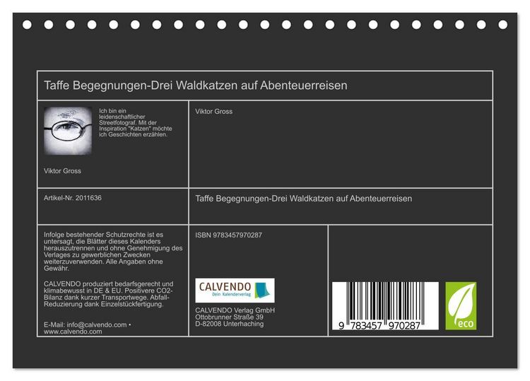 Produktbild: Taffe Begegnungen-Drei Waldkatzen auf Abenteuerreisen (Tischkalender 2026 DIN A5 quer), CALVENDO Monatskalender
