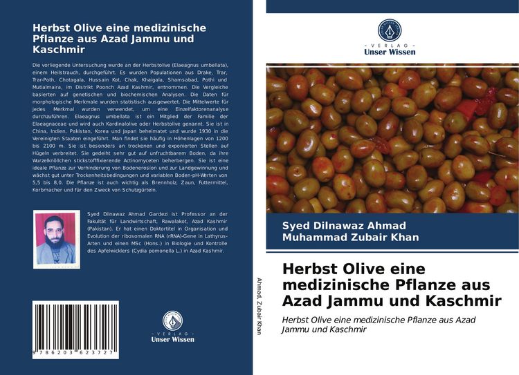Produktbild: Herbst Olive eine medizinische Pflanze aus Azad Jammu und Kaschmir
