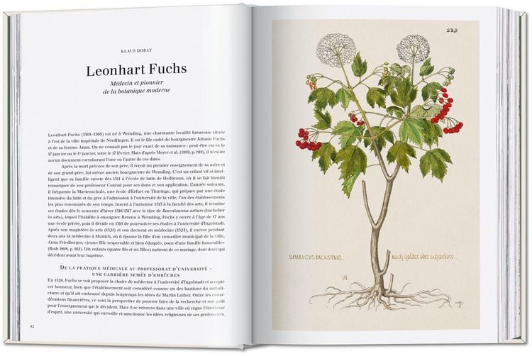 Produktbild: Leonhart Fuchs