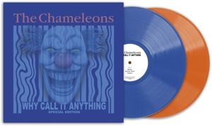 Produktbild: Why Call It Anything (Ltd.Coloured Vinyl)