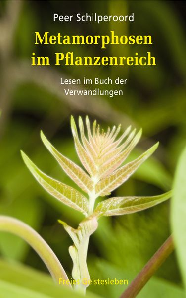 Produktbild: Metamorphosen im Pflanzenreich