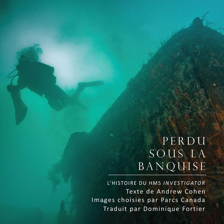 Produktbild: Perdu Sous La Banquise