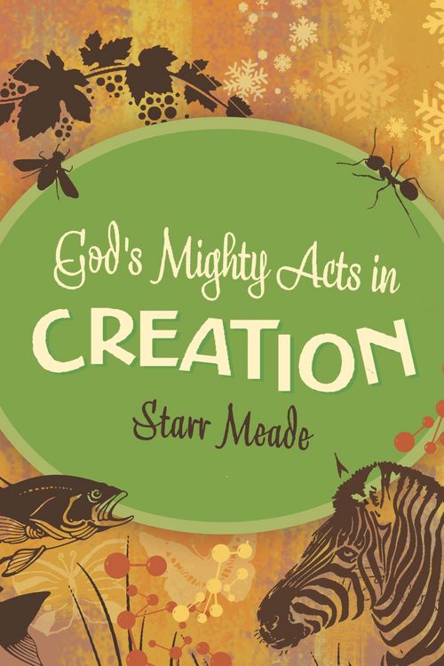 Produktbild: God's Mighty Acts in Creation