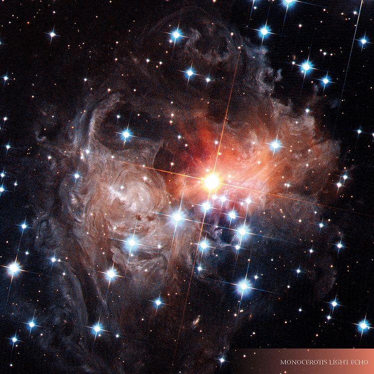 Produktbild: Where Stars are Born 2024