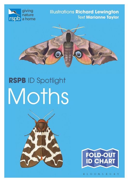 Produktbild: RSPB ID Spotlight - Moths