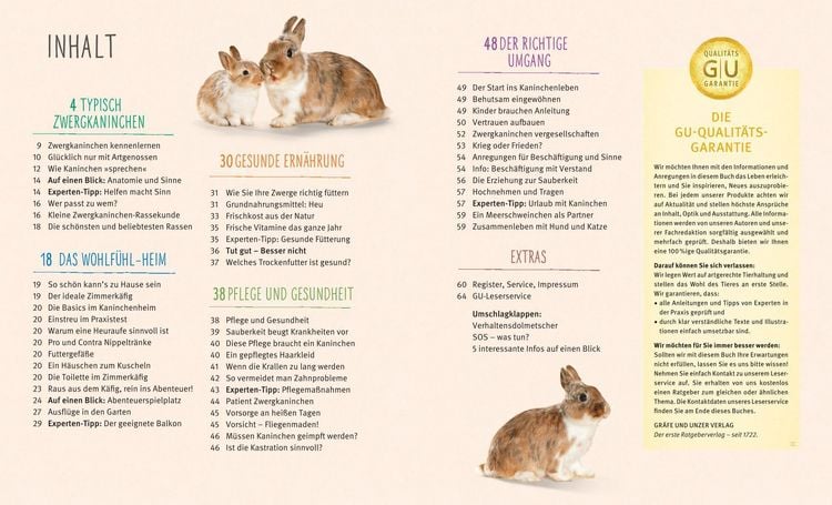 Produktbild: Zwergkaninchen
