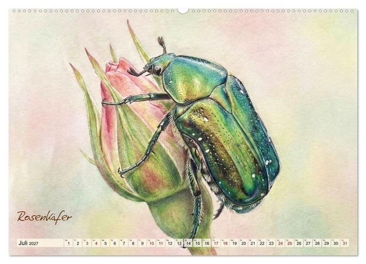Produktbild: Kleine Wunder in Aquarell - Heimische Insekten kunstvoll illustriert (hochwertiger Premium Wandkalender 2027 DIN A2 quer), Kunstdruck in Hochglanz