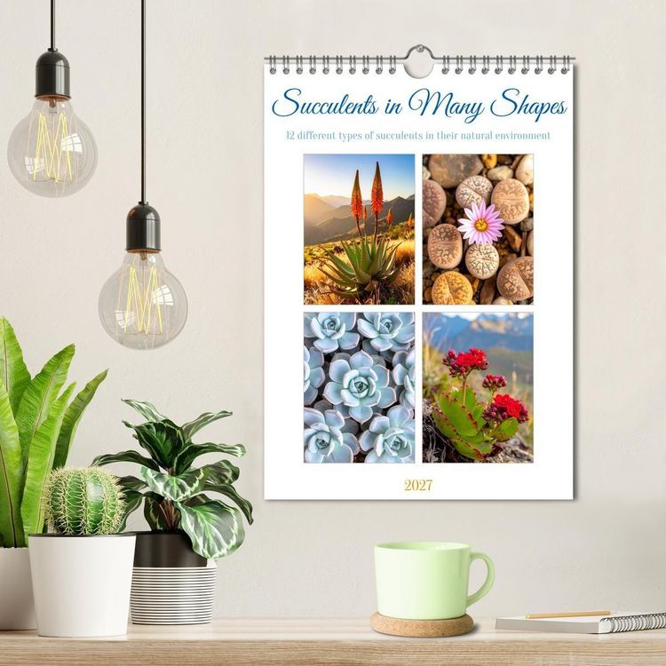 Produktbild: Succulents in Many Shapes (Wall Calendar 2027 DIN A4 portrait), CALVENDO 12 Month Wall Calendar