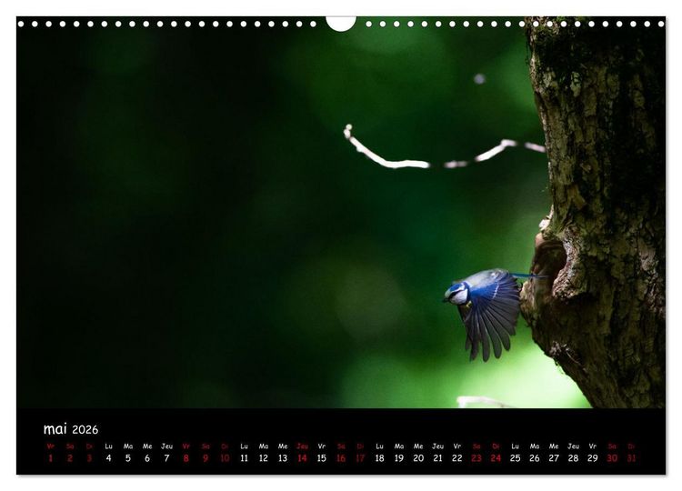 Produktbild: La nature pr&egrave;s de chez vous (Calendrier mural 2026 DIN A3 vertical), CALVENDO calendrier mensuel