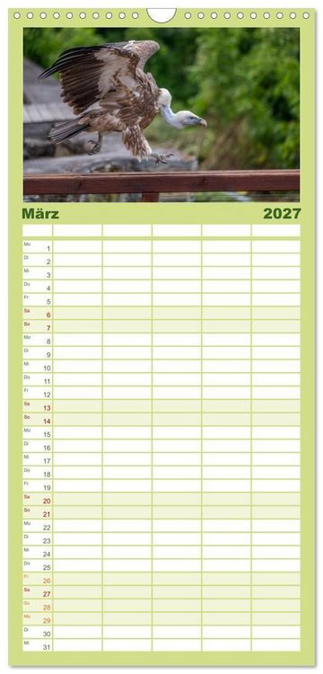 Produktbild: Familienplaner 2027 - Greifv&ouml;gel in Aktion - Dynamische Flugbilder und Portr&auml;ts mit 5 Spalten (Wandkalender, 21 x 45 cm) CALVENDO