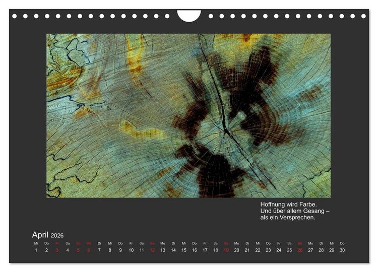 Produktbild: MAGIE HOLZ 2026 (Wandkalender 2026 DIN A4 quer), CALVENDO Monatskalender