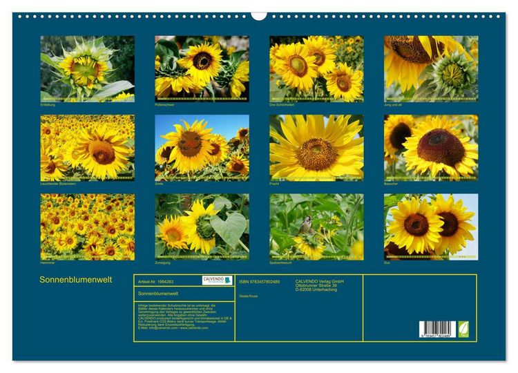 Produktbild: Sonnenblumenwelt (Wandkalender 2026 DIN A2 quer), CALVENDO Monatskalender