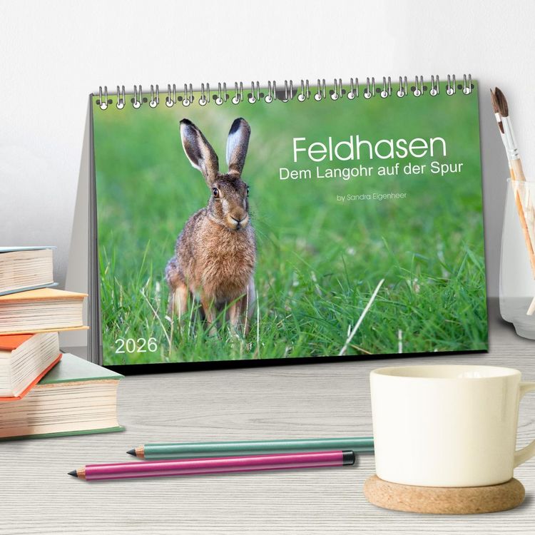 Produktbild: Feldhasen - dem Langohr auf der Spur (Tischkalender 2026 DIN A5 quer), CALVENDO Monatskalender