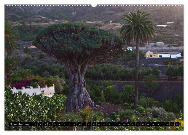 Produktbild: Teneriffa - Insel des ewigen Fr&uuml;hlings (Wandkalender 2026 DIN A2 quer), CALVENDO Monatskalender