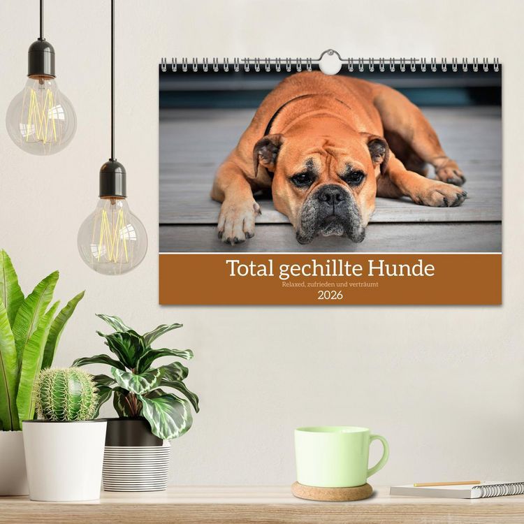 Produktbild: Total gechillte Hunde (Wandkalender 2026 DIN A4 quer), CALVENDO Monatskalender