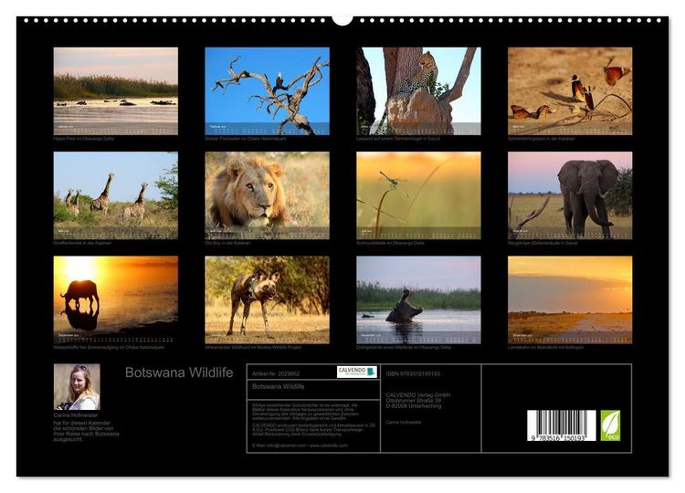 Produktbild: Botswana Wildlife (hochwertiger Premium Wandkalender 2026 DIN A2 quer), Kunstdruck in Hochglanz
