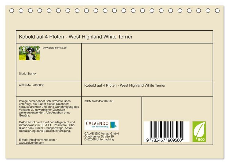 Produktbild: Kobold auf 4 Pfoten - West Highland White Terrier (Tischkalender 2026 DIN A5 quer), CALVENDO Monatskalender