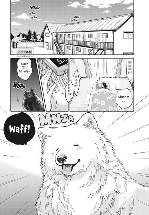 Produktbild: One Room Dog 1