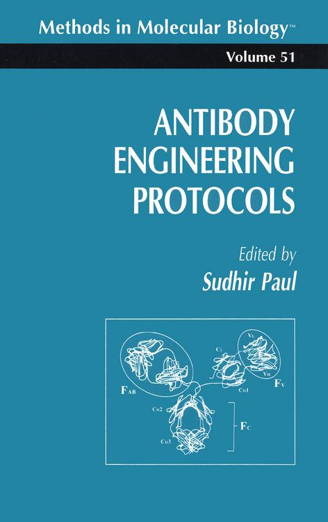 Produktbild: Antibody Engineering Protocols