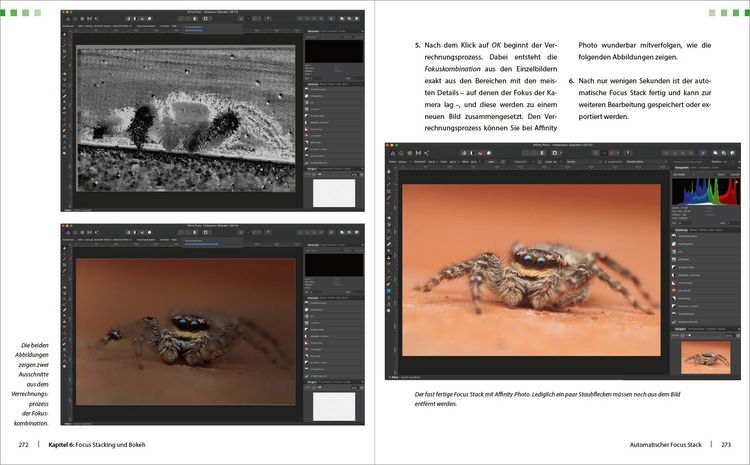 Produktbild: Extreme Wildlife-Makrofotografie