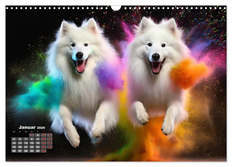 Produktbild: Holi Pulver - Doppelte Action (Wandkalender 2026 DIN A3 quer), CALVENDO Monatskalender