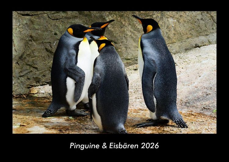 Produktbild: Pinguine & Eisb&auml;ren 2026 Fotokalender DIN A3