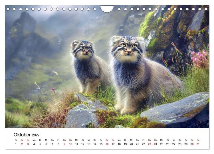 Produktbild: Gegen alles! - Pallaskatzen in ihrer Welt (Wandkalender 2027 DIN A4 quer), CALVENDO Monatskalender